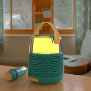 3701613300194-enceinte--karaoke-bleu