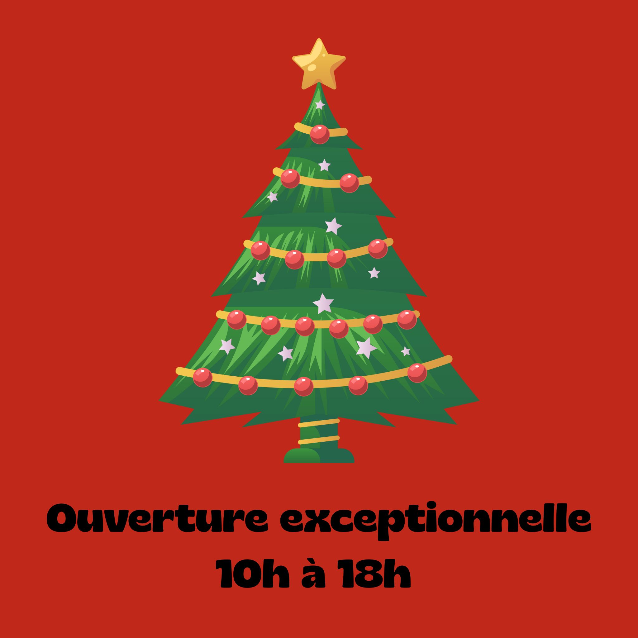 Image Ouverture exceptionnelle – Noël