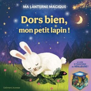 9782075240062-ma-lanterne-magique---dors-bien-mon-petit-lapin